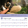 2023 Permaculture Calendar - Image 4