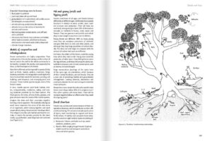 Earth Restorer’s Guide to Permaculture