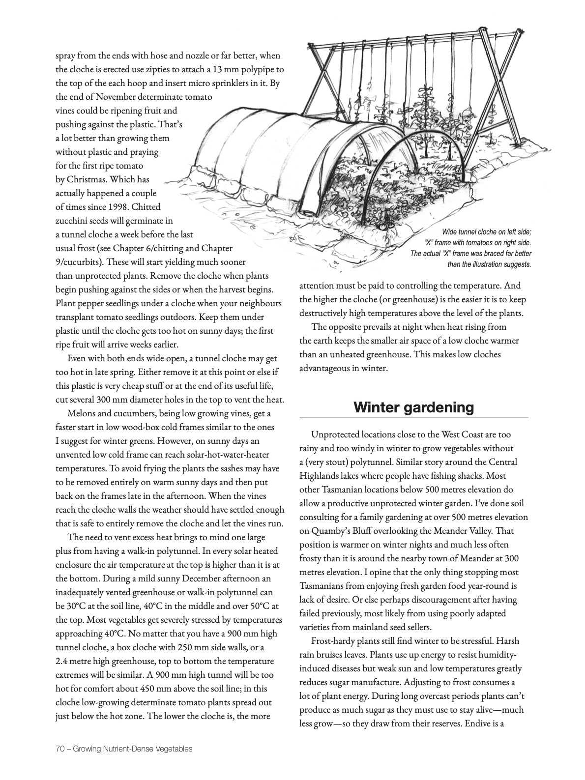 Growing Nutrient-Dense Vegetables: A Cool-Climate Guide - Image 11